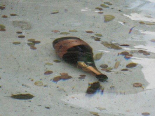 Champagne in fountain