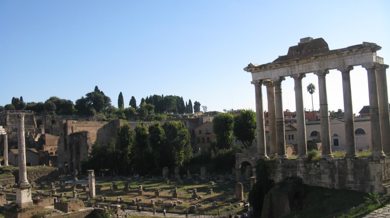 The Forum