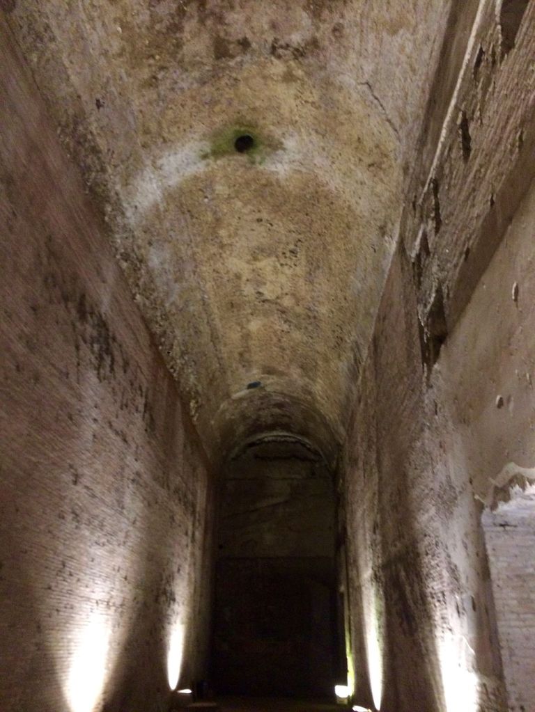 Domus_Aurea_Roma_(28876704600)